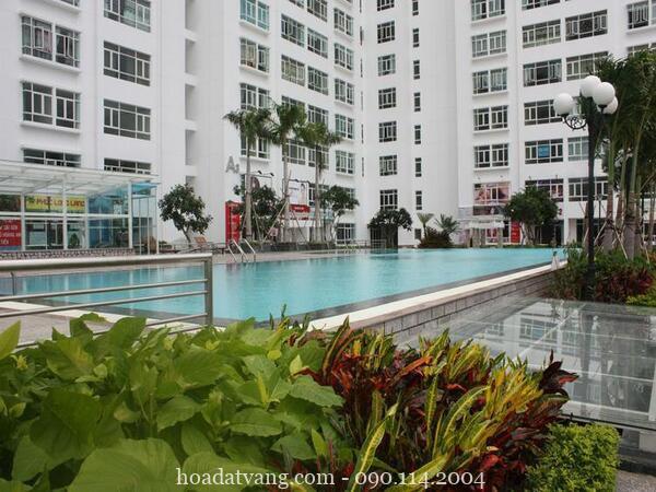 Bán căn hộ Hoàng Anh Gia Lai 3 (New Saigon) 2-3PN rộng rãi giá rẻ